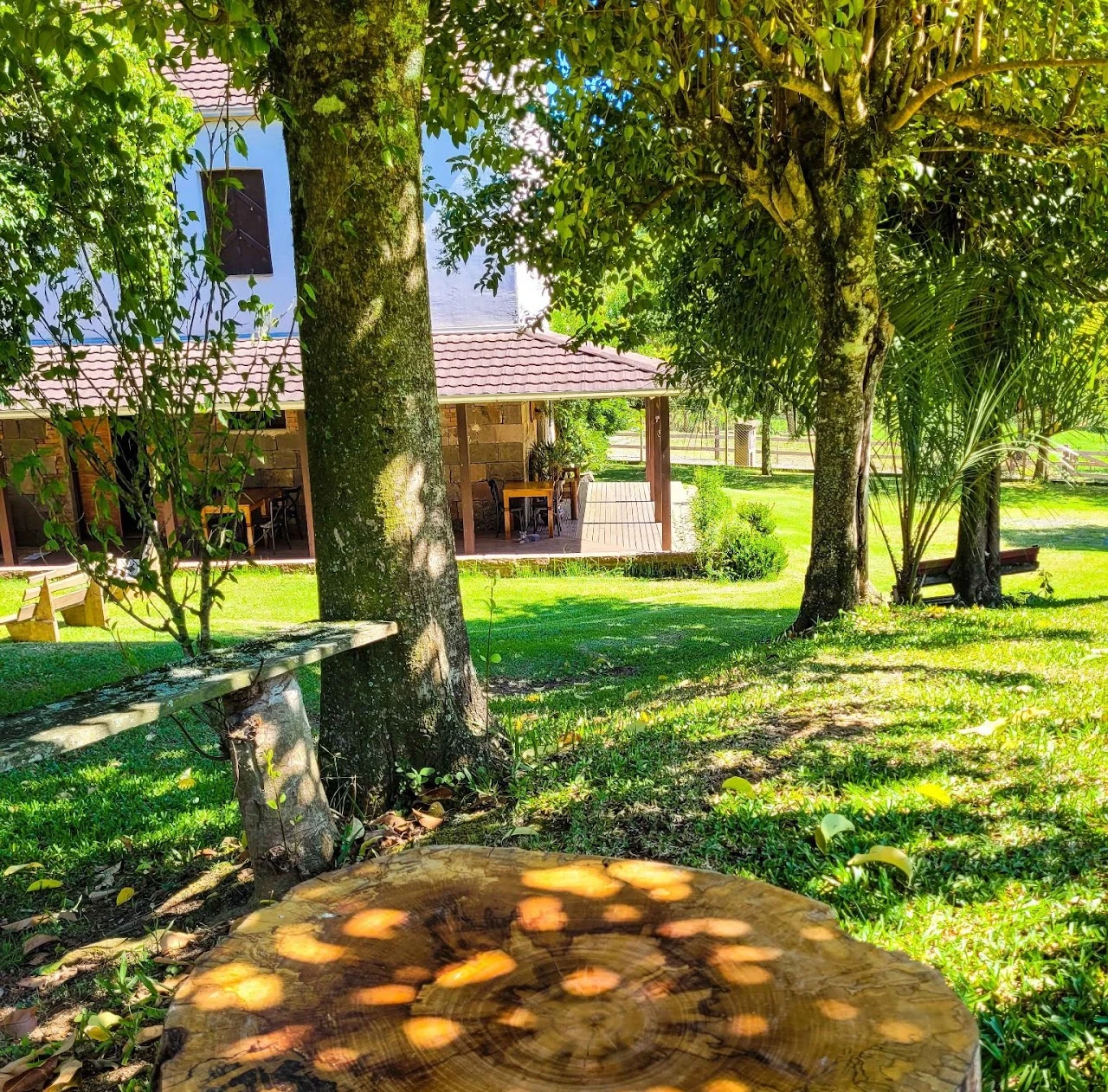 Ampla área externa com gramado e bancos